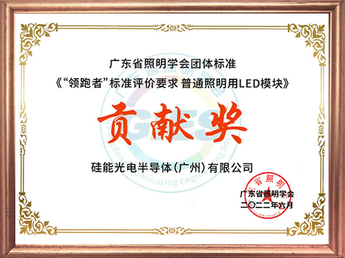 廣東省照明學(xué)會(huì )-團體標準貢獻獎